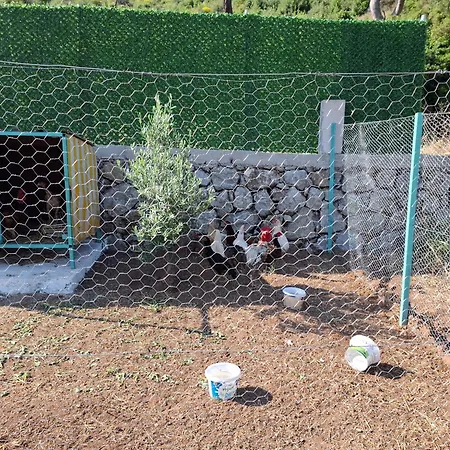 Διαμέρισμα Alestamarmarisapart Hisaronu