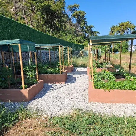 Alestamarmarisapart Apartament