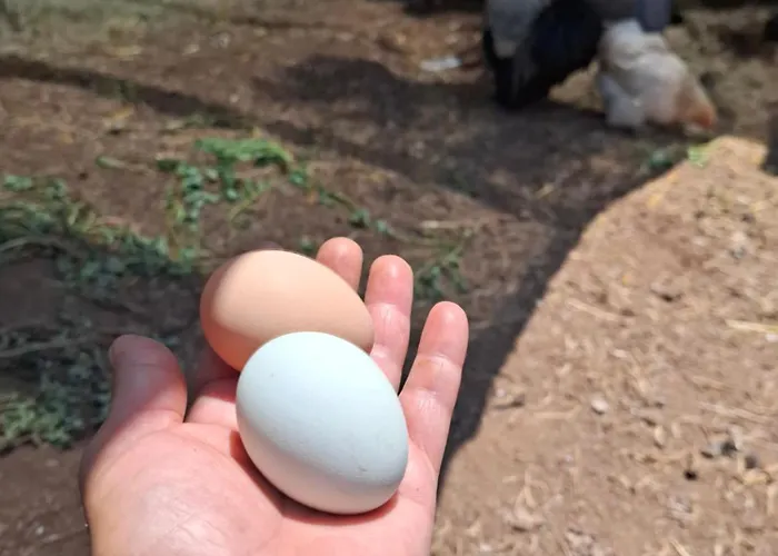 Alestamarmarisapart *